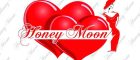 IMG-20250527-WA0004